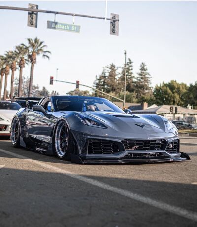Gillscars_