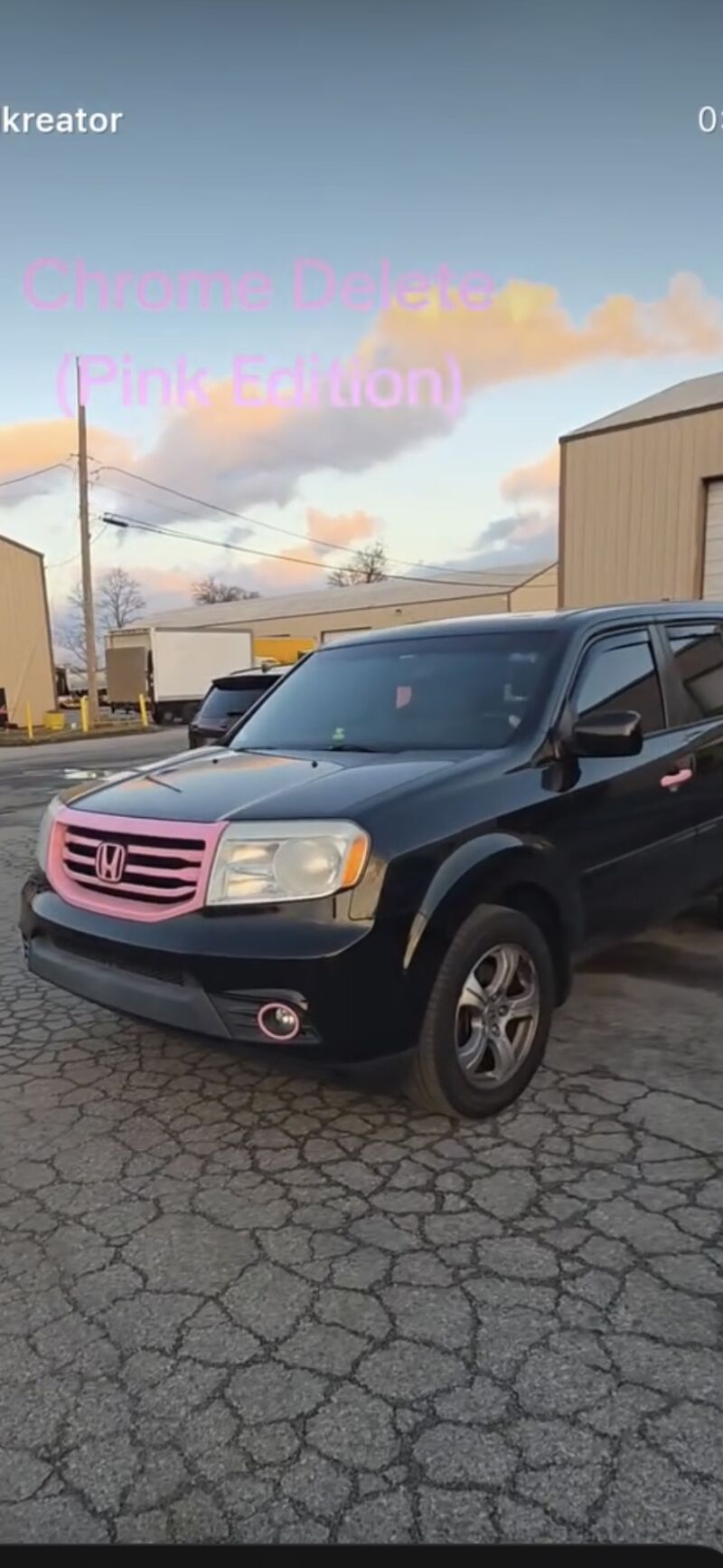 Pink Executive