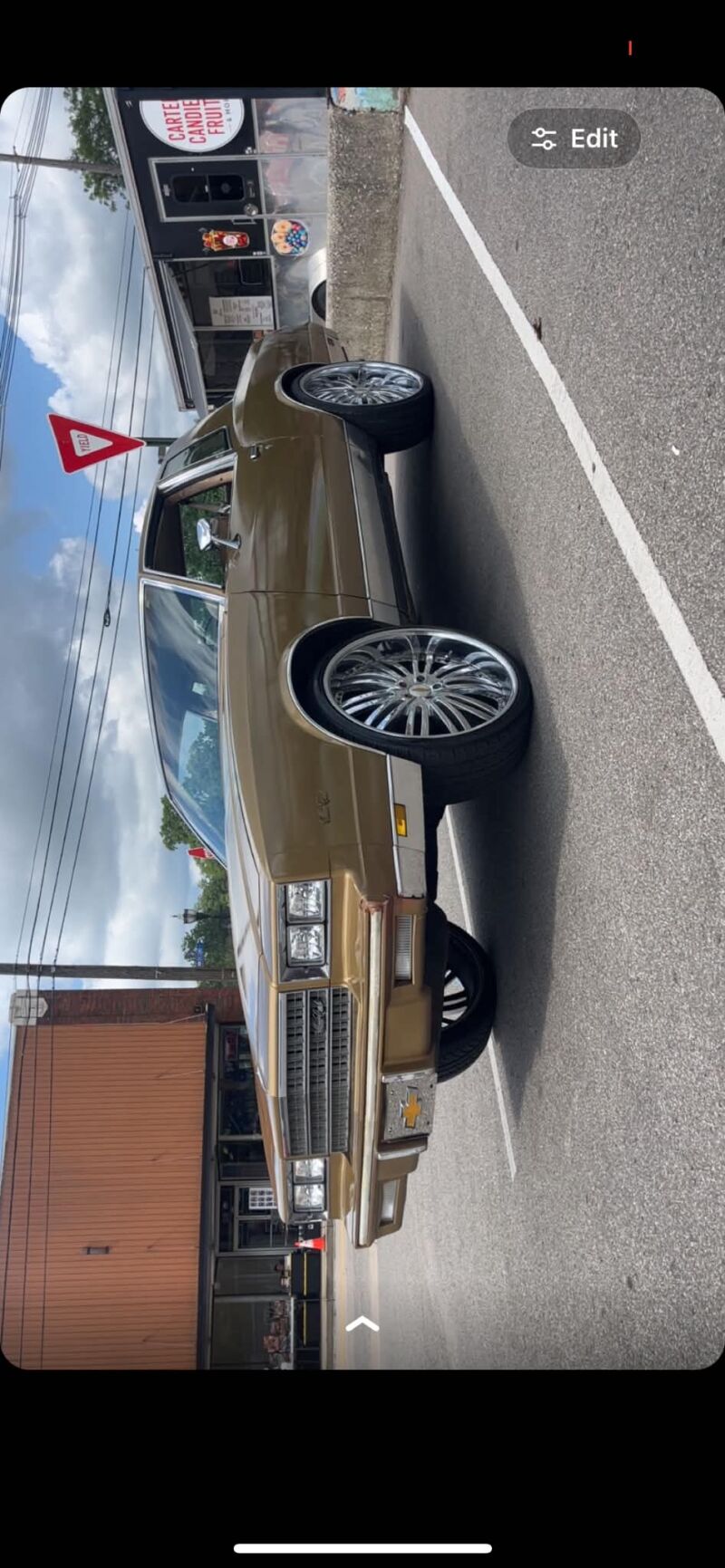 Monte 